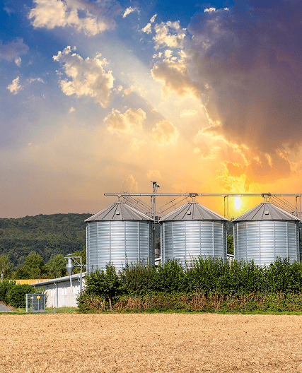 Diferenciais do Trading Agrícola Yellow Agro
