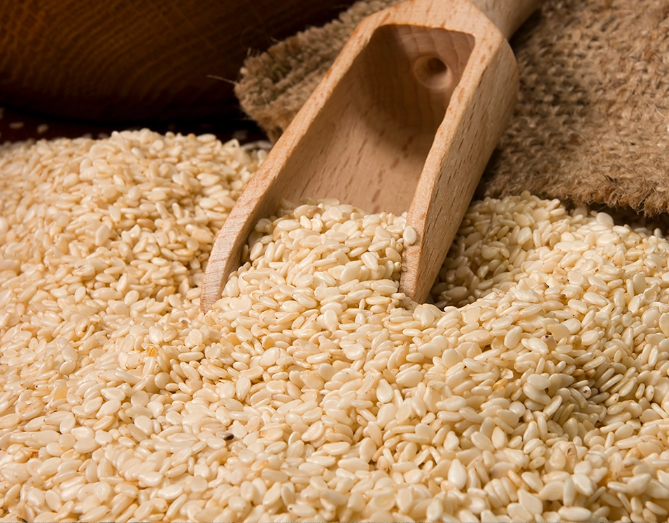 Yellow Agro - Sobre nossa empresa