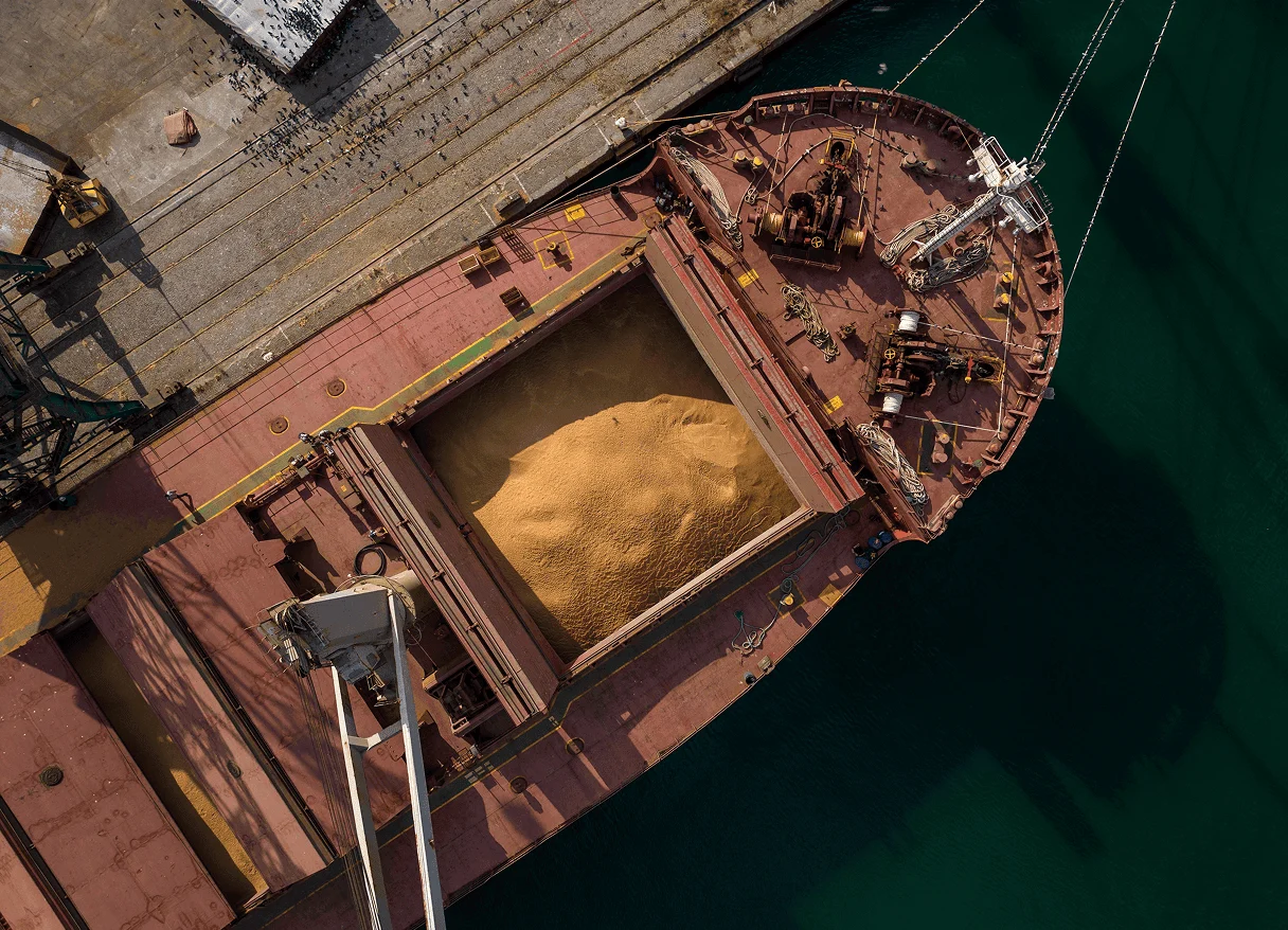 Logística internacional Yellow Agro