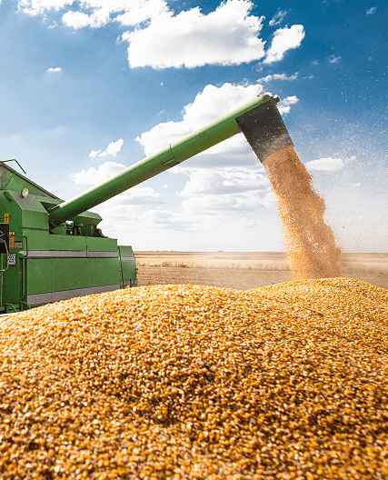 Comercialização de grãos